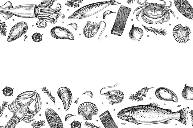 Mariscos: trucha con marco, caballa y calamar, cangrejo, cangure y camarón, mejillones, gráfico vectorial