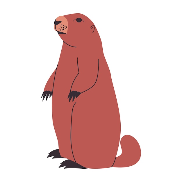 Vector marmota olímpica de color marrón o perro de las praderas de pie postura naturaleza salvaje roedores y animales mamíferos