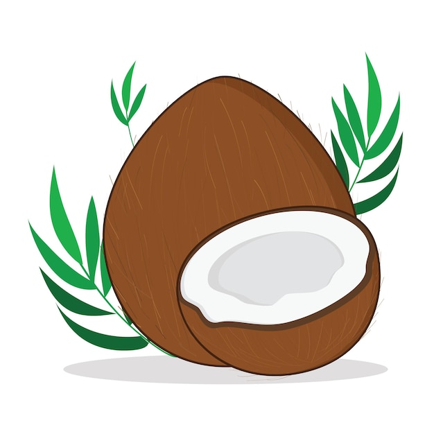 Marrón coco coco carne de coco vector diseño del logotipo icono ilustración de dibujos animados