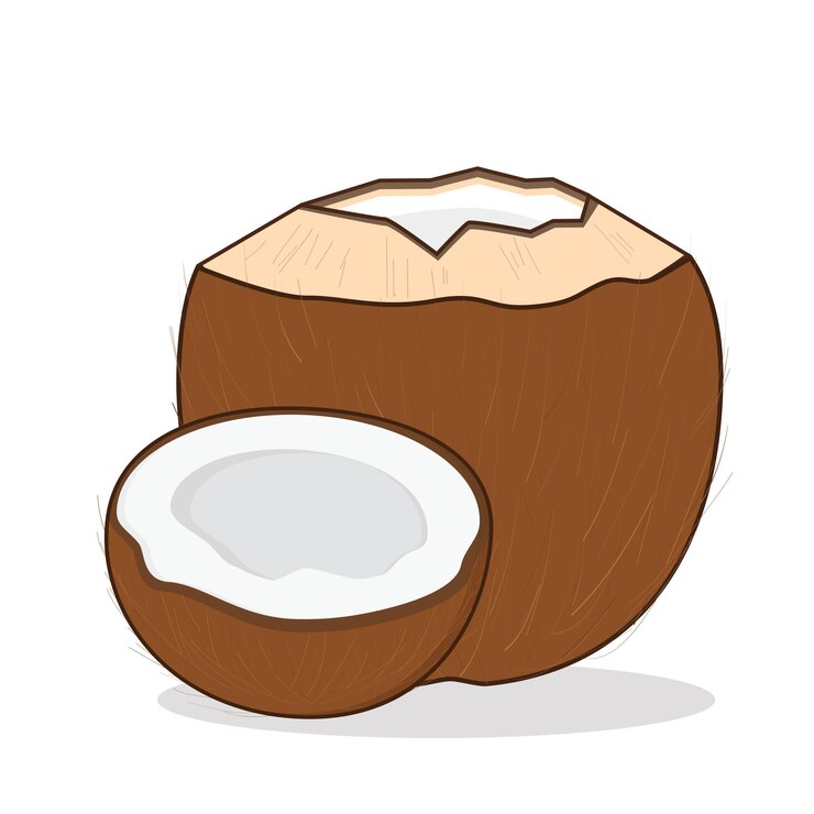 Vector marrón coco coco carne de coco vector diseño del logotipo icono ilustración de dibujos animados