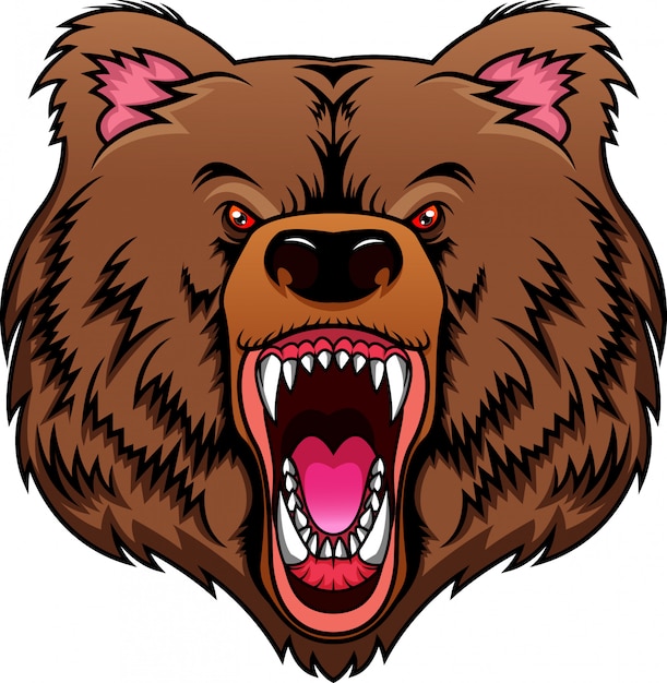 mascota de cabeza de oso