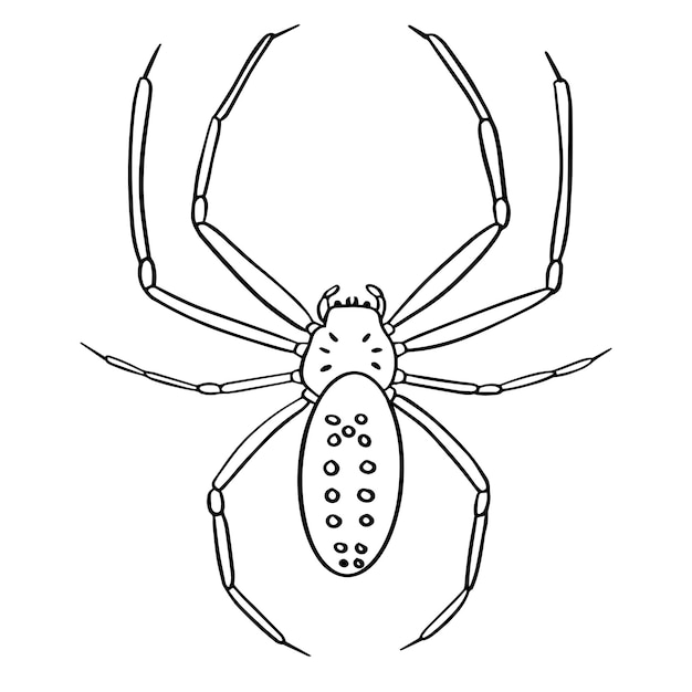 Mascota dibujada a mano con el contorno de la araña