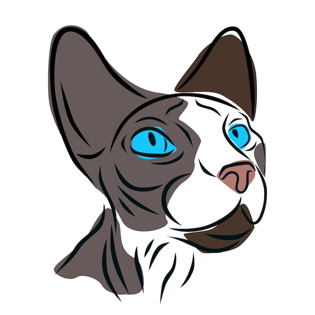 Mascotas, gato esfinge