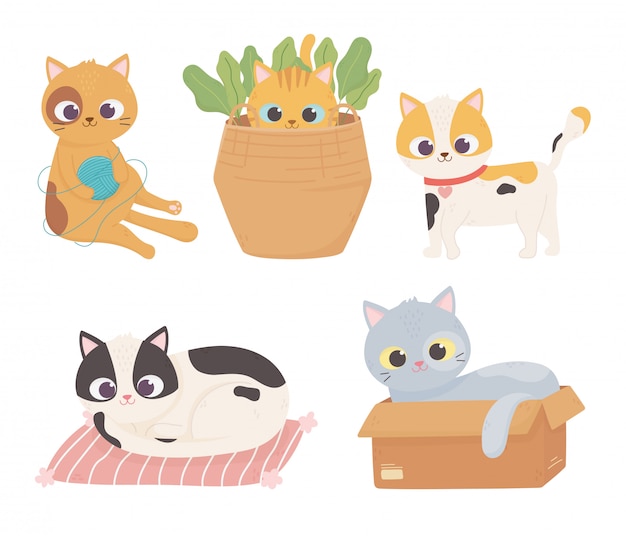 Mascotas gatos lana bola caja de cartón cojín mascota mascota conjunto de dibujos animados ilustración