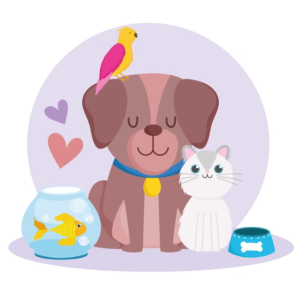 Mascotas lindo perro gato loro peces animales y comida ilustración vectorial