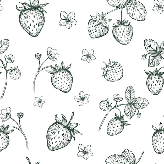 Matriz sin costuras de fresas bocetos realistas ilustraciones vectoriales dibujadas a mano con contornos negros sobre un fondo transparente