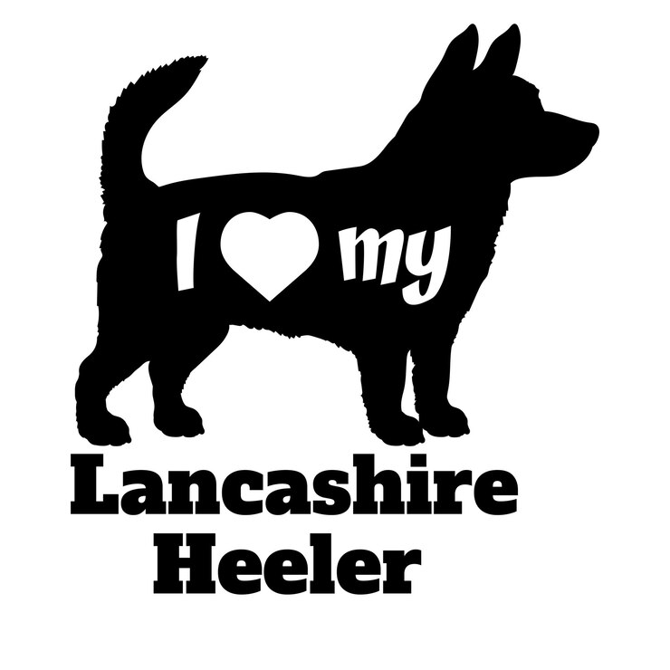 Vector me encanta mi lancashire heeler perro silueta perros razas logotipo perro monograma vector