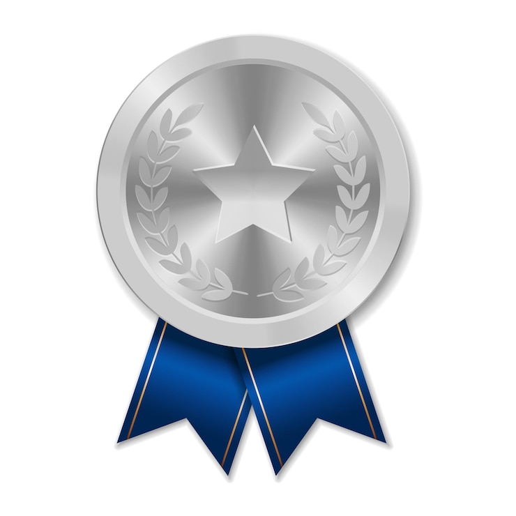 Vector medalla de plata con estrella ilustración de formas geométricas
