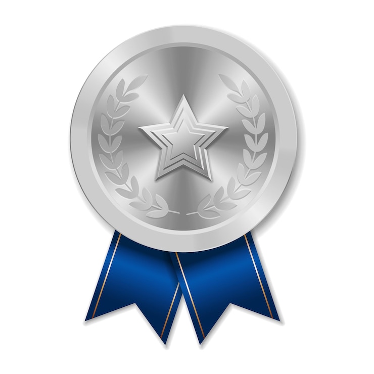 Vector medalla de plata con estrella ilustración de formas geométricas