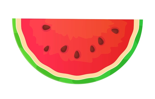 Media pieza de sandía verano fruta baya jugo fresco comida exótica concepto de postre tropical ilustración de vector de stock en estilo de dibujos animados realista aislado sobre fondo blanco