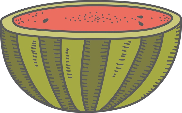 Vector media sandía con semillas