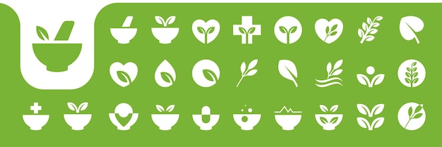 Medicina a base de hierbas naturaleza icono plano colección diseño vectorial