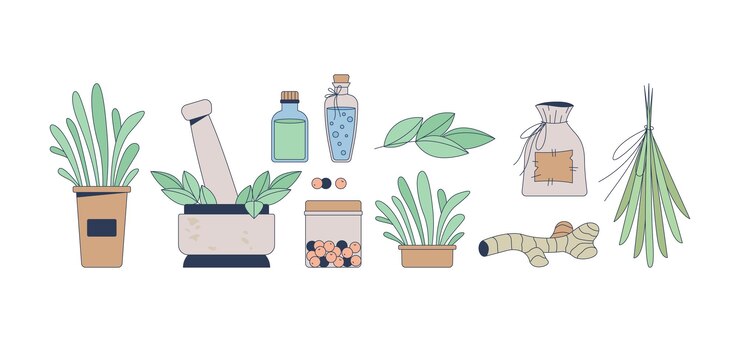 Vector medicina a base de hierbas y remedios naturales objetos de dibujos animados en 2d