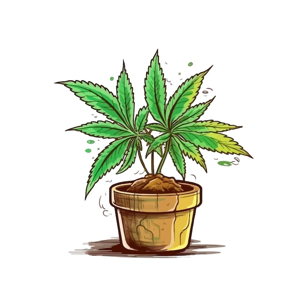 Vector medicina herbal natural planta de cannabis aislada sobre un fondo blanco