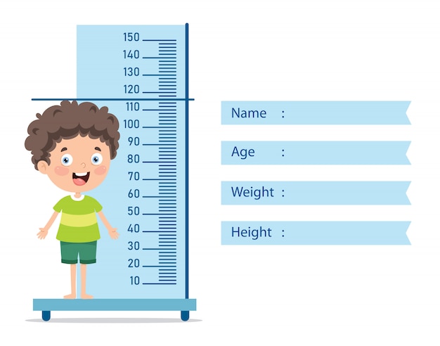 Vector medida de altura para niños pequeños