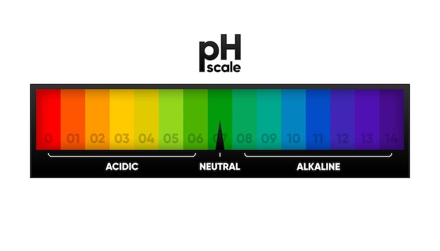 Medidor de escala de PH para soluciones ácidas y alcalinas Escala de equilibrio de base ácida Vector de prueba química