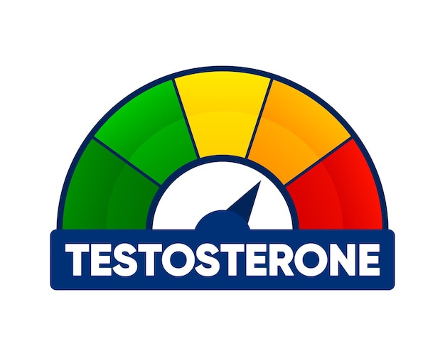 Vector medidor de testosterona escala de medición del nivel de hormona fórmula química molecular de la hormona sexual hormona sexual masculina ilustración vectorial