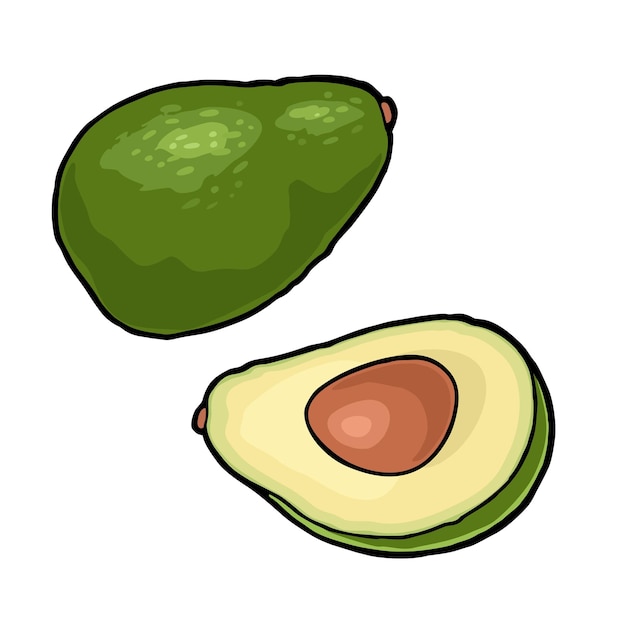 Medio aguacate con semilla de color de grabado vintage vectorial