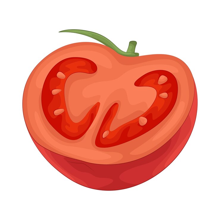 Vector medio tomate