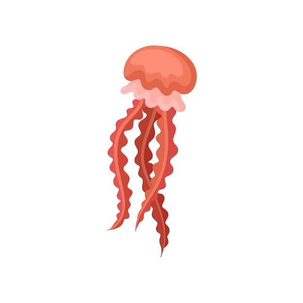 Medusa roja brillante criatura marina animal marino con largos tentáculos vida submarina tema plano