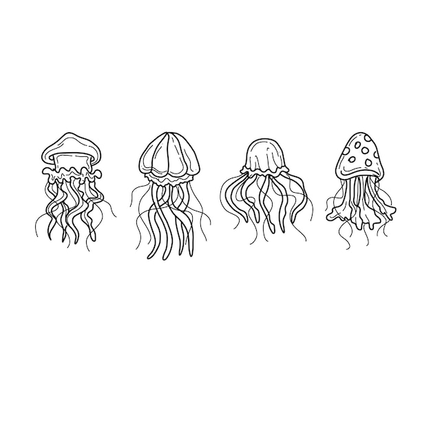 Medusas dibujadas a mano doodle ilustraciones vector conjunto