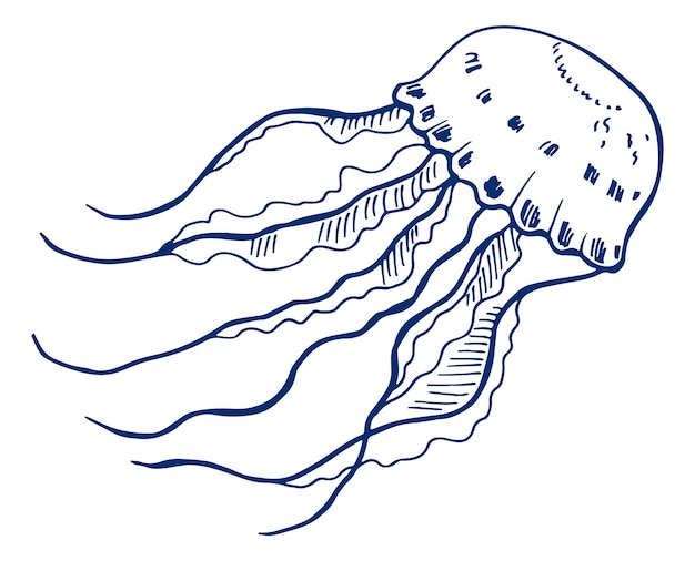 Medusas en estilo de dibujo de tinta azul. animal de jalea marina aislado  sobre fondo blanco | Vector Premium