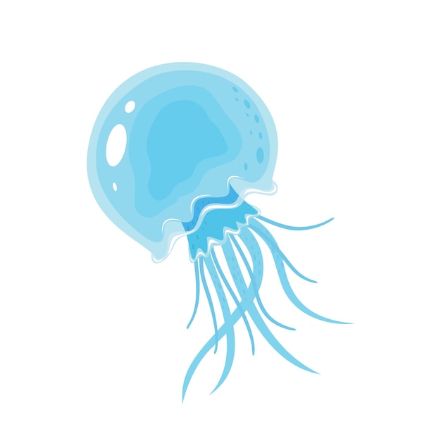 Medusas en un fondo blanco