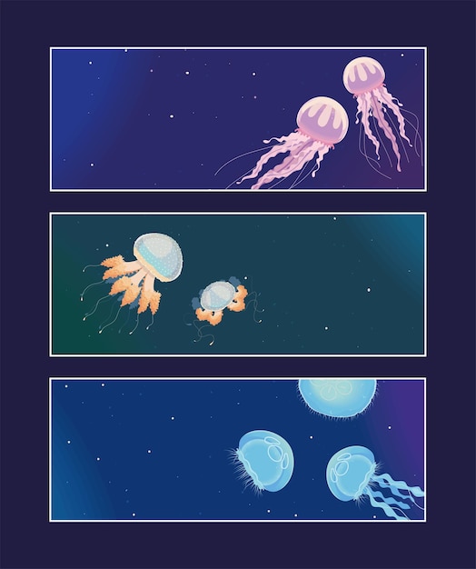 Vector medusas vida submarina