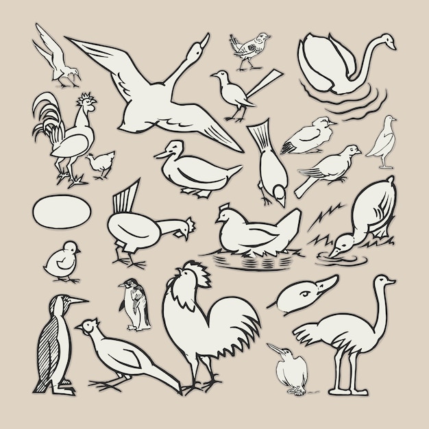 Los mega íconos de las aves establecen el logotipo retro, la vieja plantilla de cartel de ilustración vintage, los elementos vectoriales de diseño.