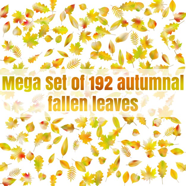 Vector mega set de 192 hojas caídas otoñales.