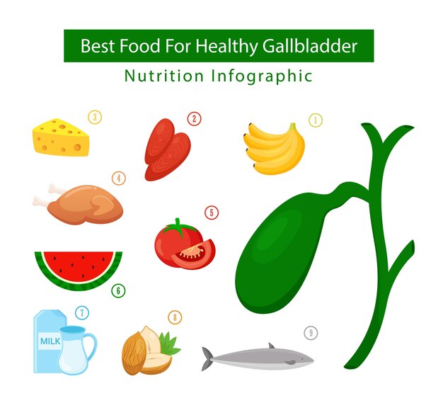 Los mejores alimentos para la salud de la vesícula biliar, ilustración de alimentos saludables, concepto infográfico de nutrición