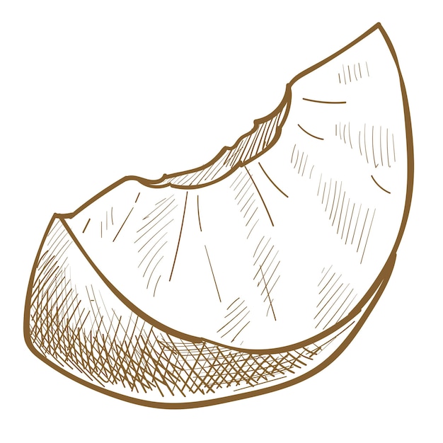 Melocotón dulce o fruta de albaricoque, icono aislado de sabroso ingrediente orgánico cosechado. alimentos y harinas naturales. menú vegano y vegetariano. postre de bayas. esquema de dibujo monocromo, vector de estilo plano