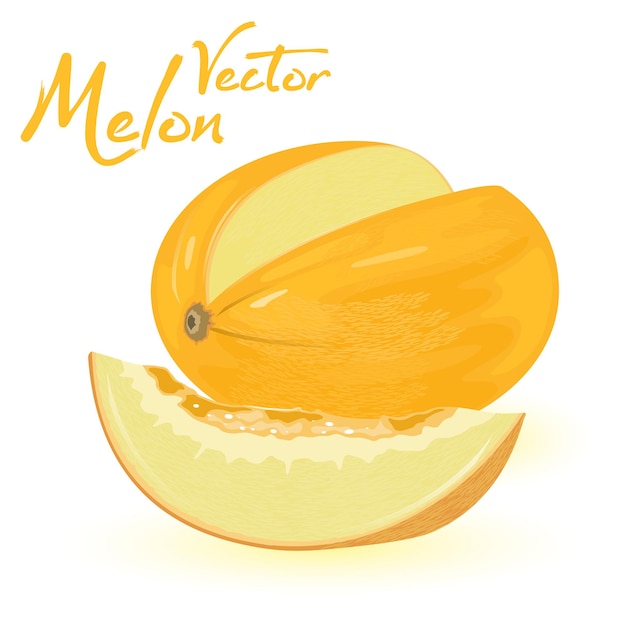 Melón amarillo de forma ovalada con una rodaja