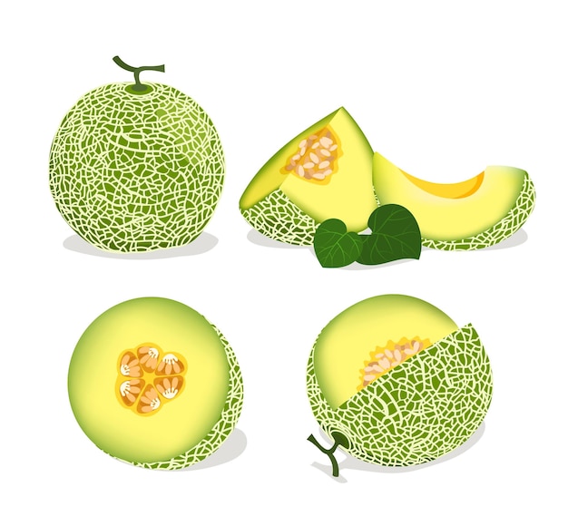 melón de cantaloupe conjunto de frutas frescas enteras cortadas a la mitad de melón de Cantaloupe