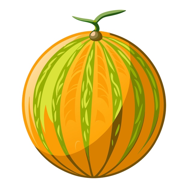 Melón sobre fondo blanco