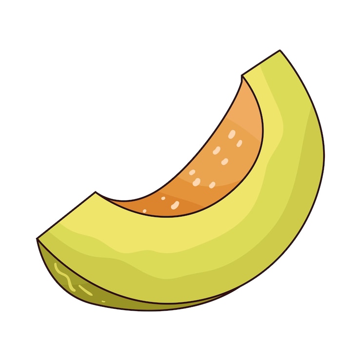 Vector el melón