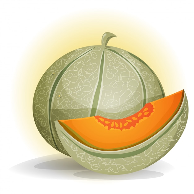 Vector melón