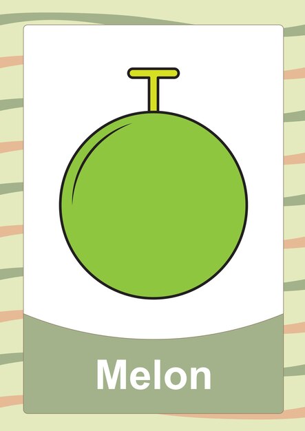 Melón