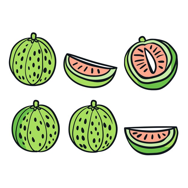 Melones de agua dibujados a mano en rebanadas de colores vibrantes dos melones de agua enteras dos rebanados de melona de agua uno