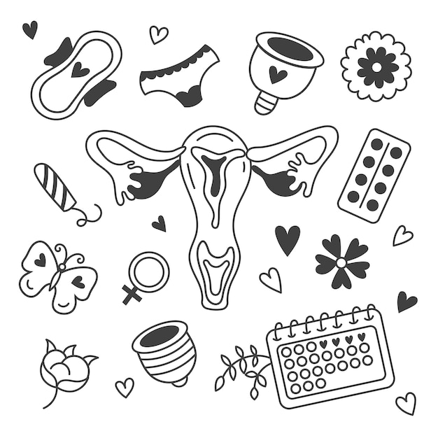 Menstrual2