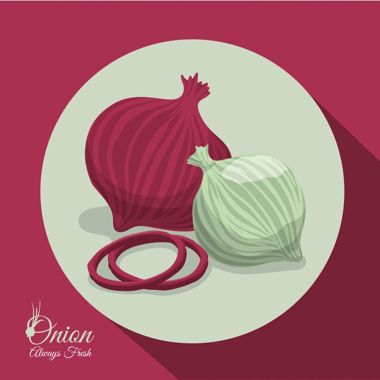 Vector menú y diseño de alimentos.