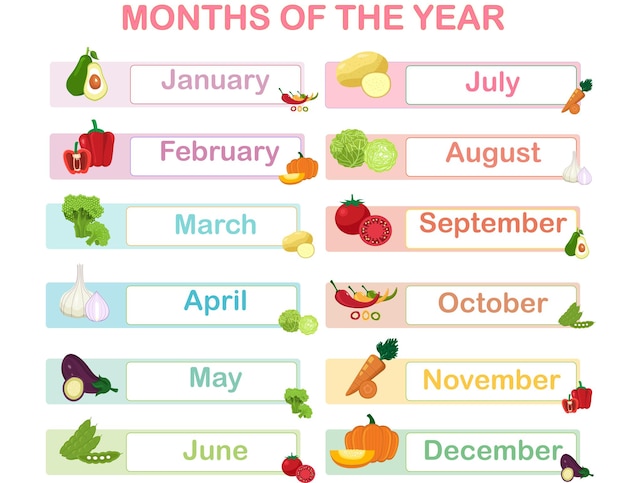 meses del año