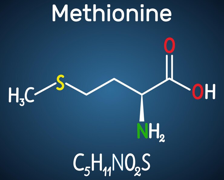 Vector metionina l metionina met m molécula de aminoácidos esenciales