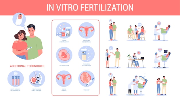 Vector método de fertilización in vitro paso a paso. idea de infertilidad y problema de reproducción. embarazo artificial con tecnología moderna. proceso de inseminación.