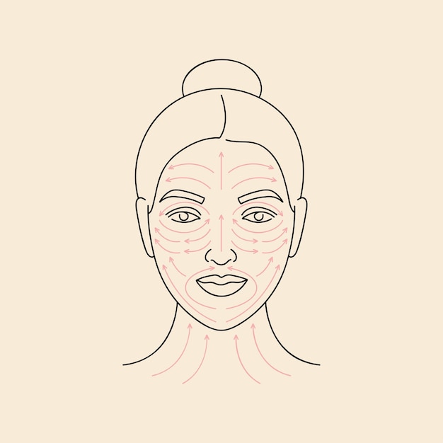 Método de ilustración vectorial para masaje facial. Rostro femenino con líneas de flecha. Tratamiento de belleza facial.