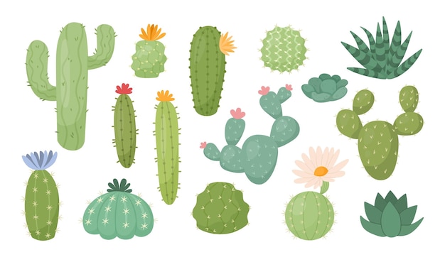 México cactus terrarium florece flores suculentas espinas espinosas naturales desierto verano plantas tropicales lindas plantas de interior dibujadas a mano elementos de decoración ilustración de dibujos animados aislados vectorial