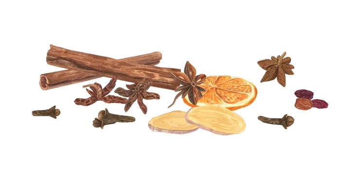 Vector mezcla de especias y hierbas navideñas palos de canela jengibre fresco rebanada de anís estrella pasas secas rebanadas de naranja y clavo ilustración de acuarela ingrediente aromático para bebidas calientes navideñas