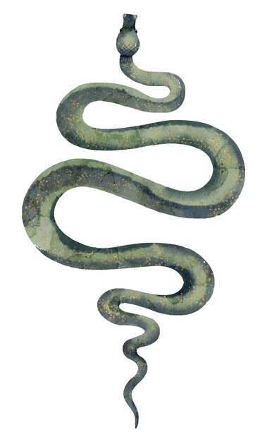 MFesnake