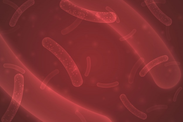 Vector microbacterias probióticas