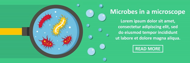 Microbios en un concepto horizontal de banner de microscopio